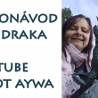 n�vod na draka z pap�ru